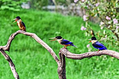 类塔科夫《灰区战争》大型“2号补丁”现已上线